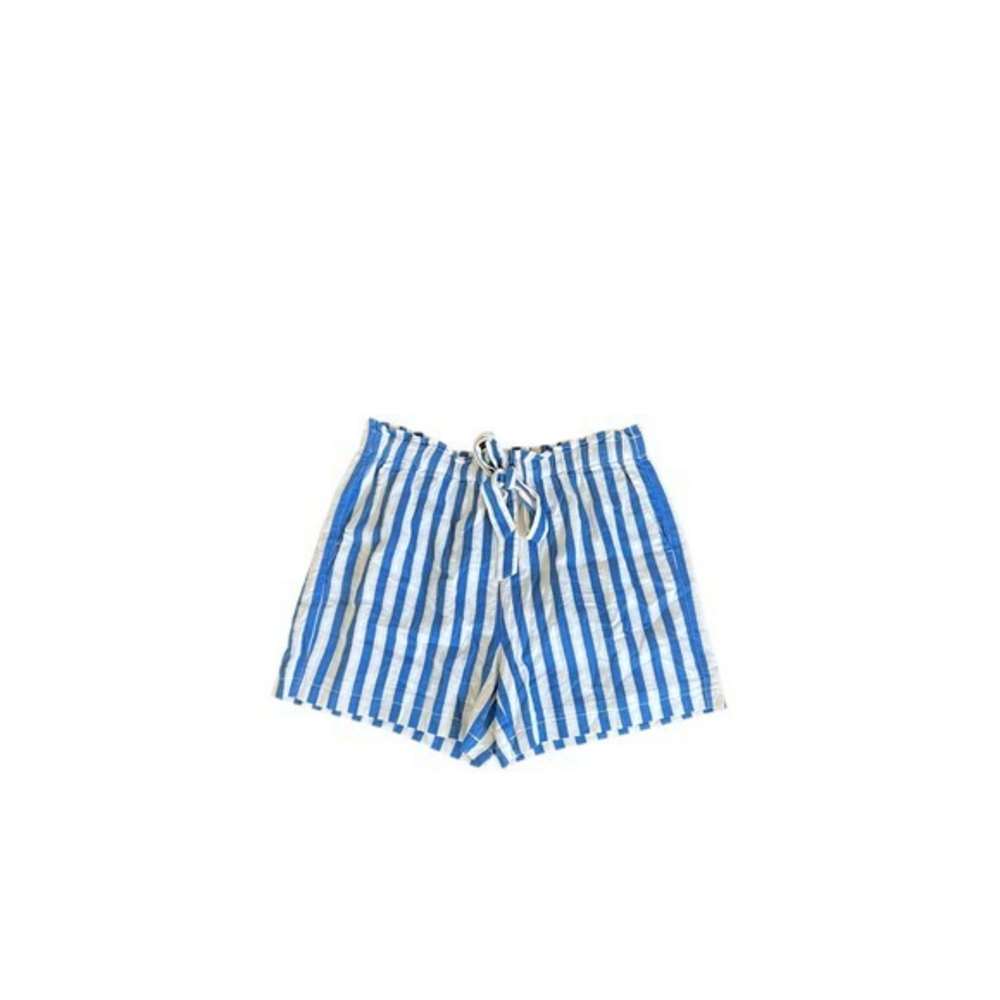 J. Crew‎ Blue Striped Drawstring Waist Shorts